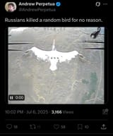 1752036297548841m