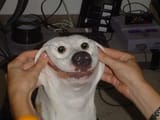 1241325325235