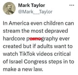 Ban tiktok but not porn or Israel