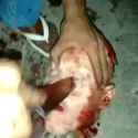 1614146811249_thumb.jpg