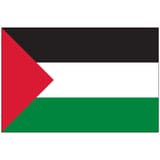 2x3-palestine-flag-image__03054.1582736235