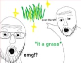 chud touch grass