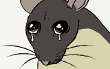 sad-rat-crying-rat