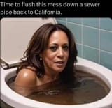 flush