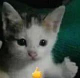thumbup