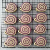 i-call-them-snookies-snail-cookies-v0-s489rqutjnha1
