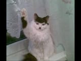MV5BZjliNmFmODUtMTRmZi00Nzk2LWE3N2YtM2E4YTViZDc1Y2UxXkEyXkFqcGc@._V1_