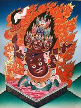 Rahula
