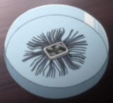 3170962-freak_chip-hellsing