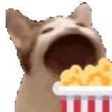 omnomnom