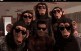 munkeyc