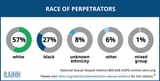 Race_of_Perpetrators%20122016[1]
