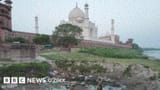 taj_faecal