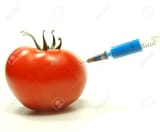 15022621-injection-into-fresh-red-tomato