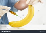 stock-photo-closeup-of-needle-injected-into-banana-fruit-genetically-engineered-food-concept-1605790027