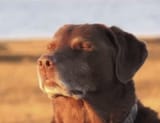 GcydBhQbcAQw0N9