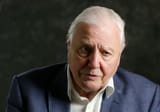 attenborough