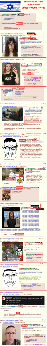 memeflag chud spam