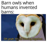 1644341140283