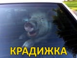 1752065486753
