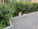 IMG_20250709_154627_751