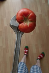 tomato_wrench