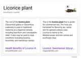 Screenshot_9-7-2025_10215_www.bing.com