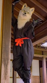 fursuit176