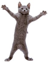 2ull