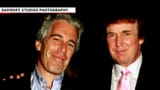 trumpepstein2
