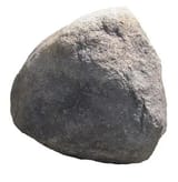 rockIP.webp