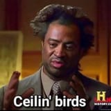 chirpbirds