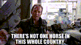 fmj one horse