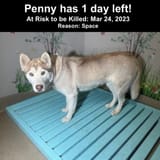 1750539382454468
