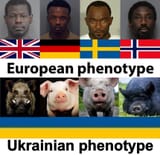 eu ukr phenotype