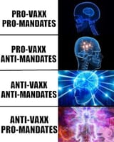 galaxy brain