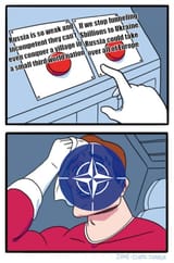 nato dilemma
