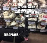 73c7220b75ccf9ecdfe9cd0e971f9cea7da90b8d79e40e5ab73529f8e0689cb1_1.jpg