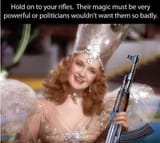 good_witch_of_the_west_saying_hold_onto_your_rifles_no_matter_what