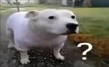 1681069519291056