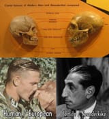 neanderkike