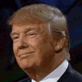 trump-train
