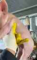 1711206272032536_thumb.jpg