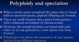 polypt