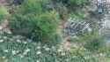 2025-07-09__madyar_edit_thumb.jpg