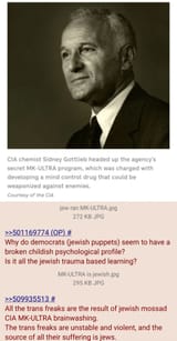 trans freak victim of jews