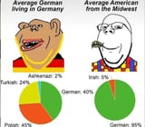 Average German