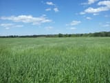 20140429_152811