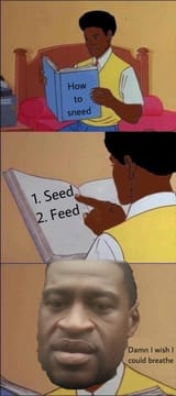 How can a nigge read though?
