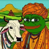 India pepe 1